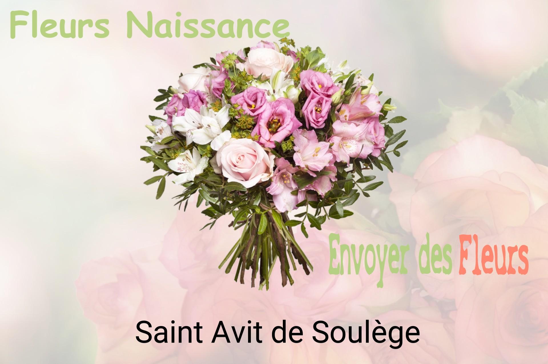 Bouquet de fleurs de naissance livré à Saint-Avit-de-Soulège